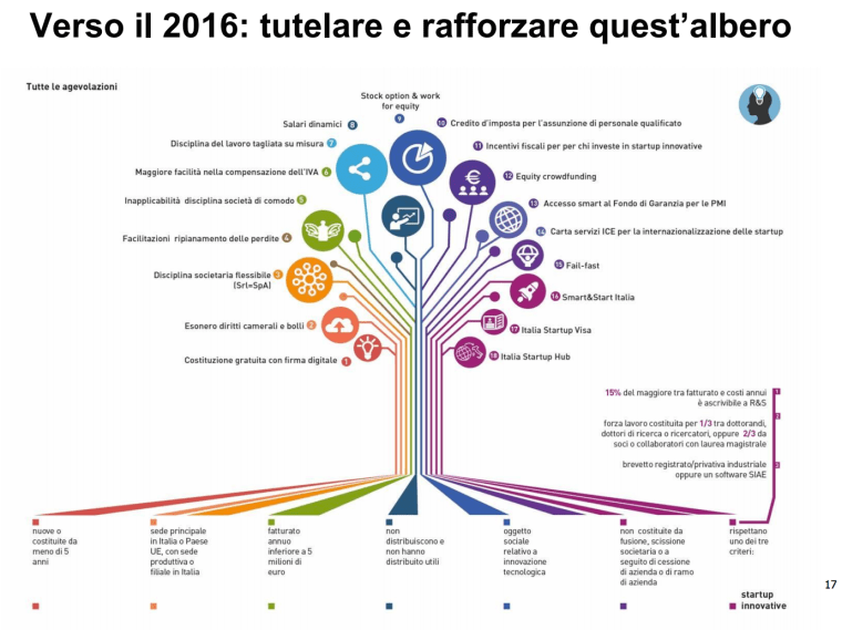 verso il 2016 rafforzare l'albero